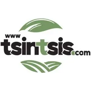 tsintsis trusted webos